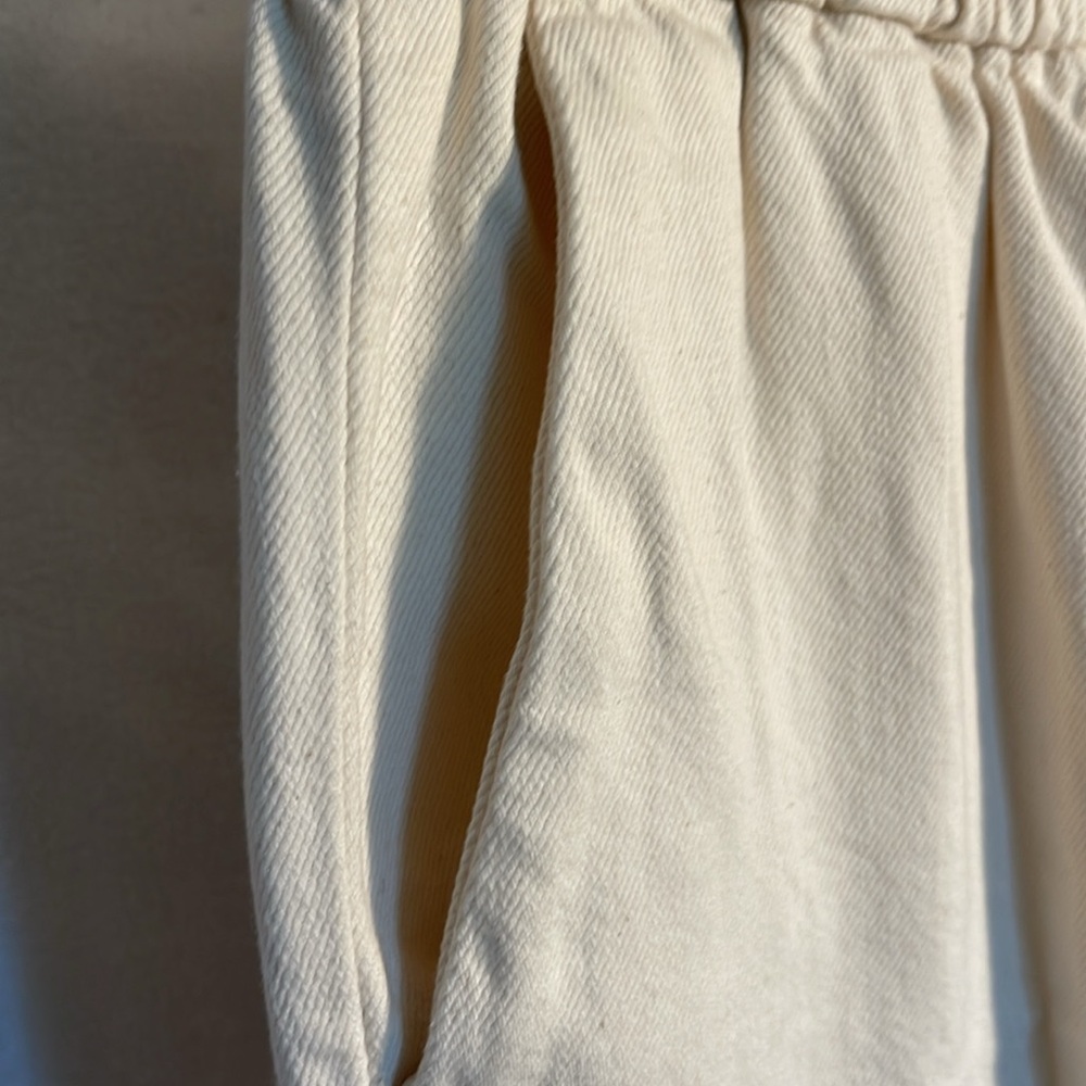 102 (Everlane Pants) - Picture 12 of 13